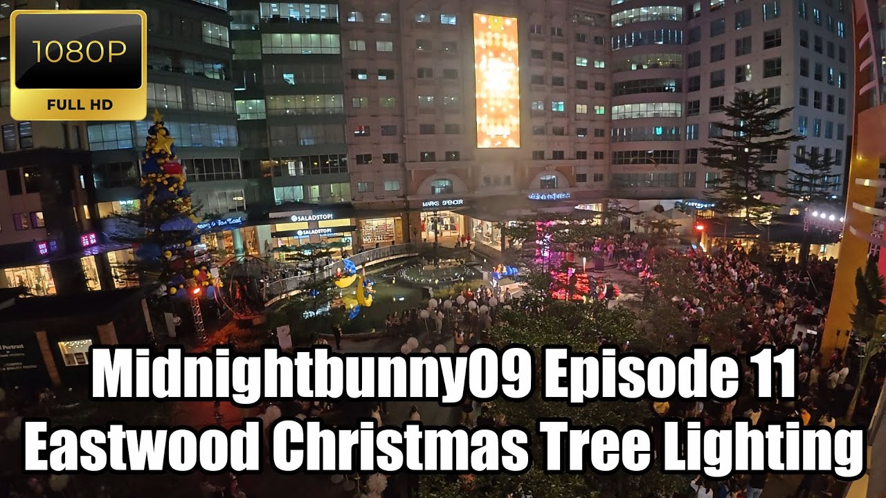 Eastwood Christmas Tree Lighting [Midnightbunny09 S01E10]