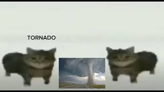 This Is A Tornado!