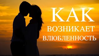 Как возникает влюбленность? / Психология отношений