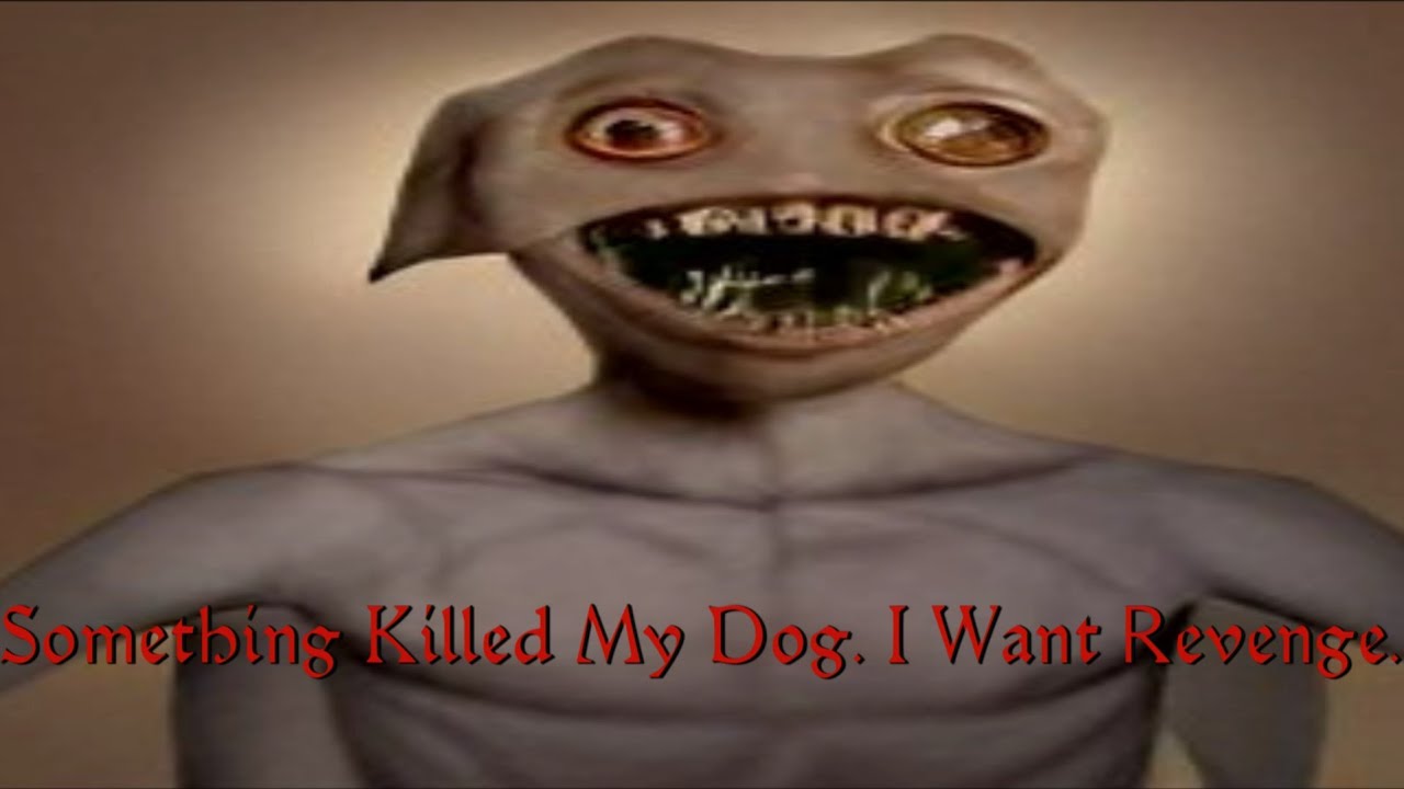Something Killed My Dog. I Want Revenge. - YouTube