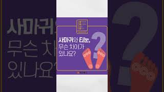 사마귀 vs 티눈, 헷갈린다면 이 영상 하나면 끝! (피부과 의사 설명)
