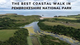 Bosherston Lily ponds, Broadhaven South, & Barafundle Bay | Pembrokeshire National Park's best walk by Chris Knight  3,336 views 1 year ago 7 minutes, 50 seconds