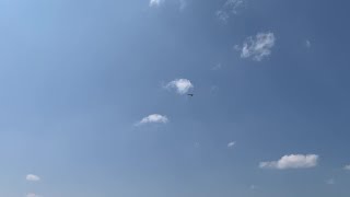 Listen To A Long Billed Curlew Call