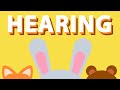 HEARING ♫ | Five Senses Song | Wormhole Learning - Songs For Kids