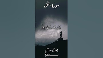 وَٱصۡبِرۡ وَمَا صَبۡرُكَ إِلَّا بِٱللَّهِ | القارئ محمد خالد نادي #islamicvideo #quran #palestine #