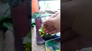 পাতা দিয়ে কী করলাম❓ ??leaf art/art with leaf?|leaf painting?leaf leafart newtrending crafty
