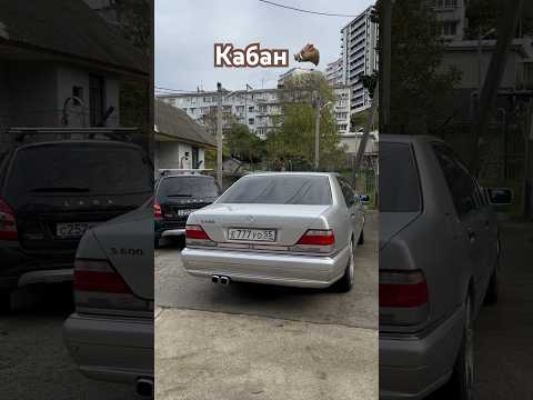 $ Миллиардер | купил себе Кабан зачем 🤦 интересно #44