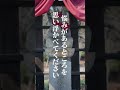 この動画が表示されたら幸せの前兆✨幸運が舞い込む #Shorts