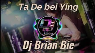 Ta De bei Ying 她的背影 Remix By Dj Brian Bie