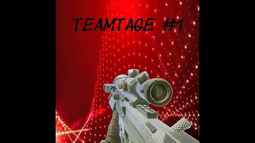 TeamTage Cod Black Ops #1