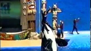 Shamu Show Lisa Hugueley's farewell performance