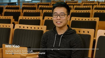 Evolving Images for Visual Neurons Using a Deep Generative Network Reveals Coding...