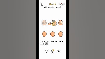 Brain Out - Puzzles Walkthrough - Level 19 - Which one is raw egg?