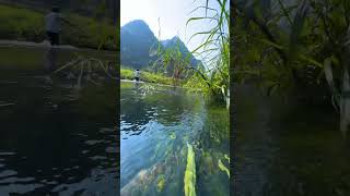 The Beauty Of Nature