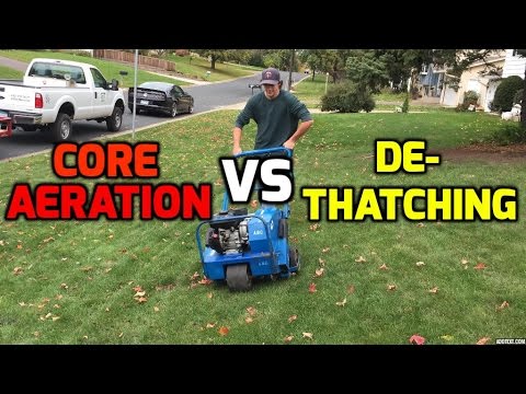 Yard Care Tips Aeration Dethaching For An Awesome Diy Lawn White Yard Care Tips Aeration Dethaching For An Awesome Diy Lawn White Bear Lake Mn
