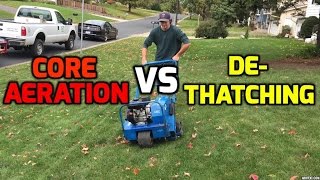 Sun Joe Dethatcher Joe Replacement Tines for AJ800E Yard Care Tips- Aeration & DeThaching for an Awesome DIY Lawn White Bear lake Mn