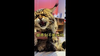 这腿到底是疼呢还是疼呢还是疼呢……