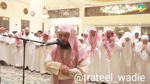 عشائية بديعة التلاوة للشيخ وديع اليمني  بجدة 22شوال 1437