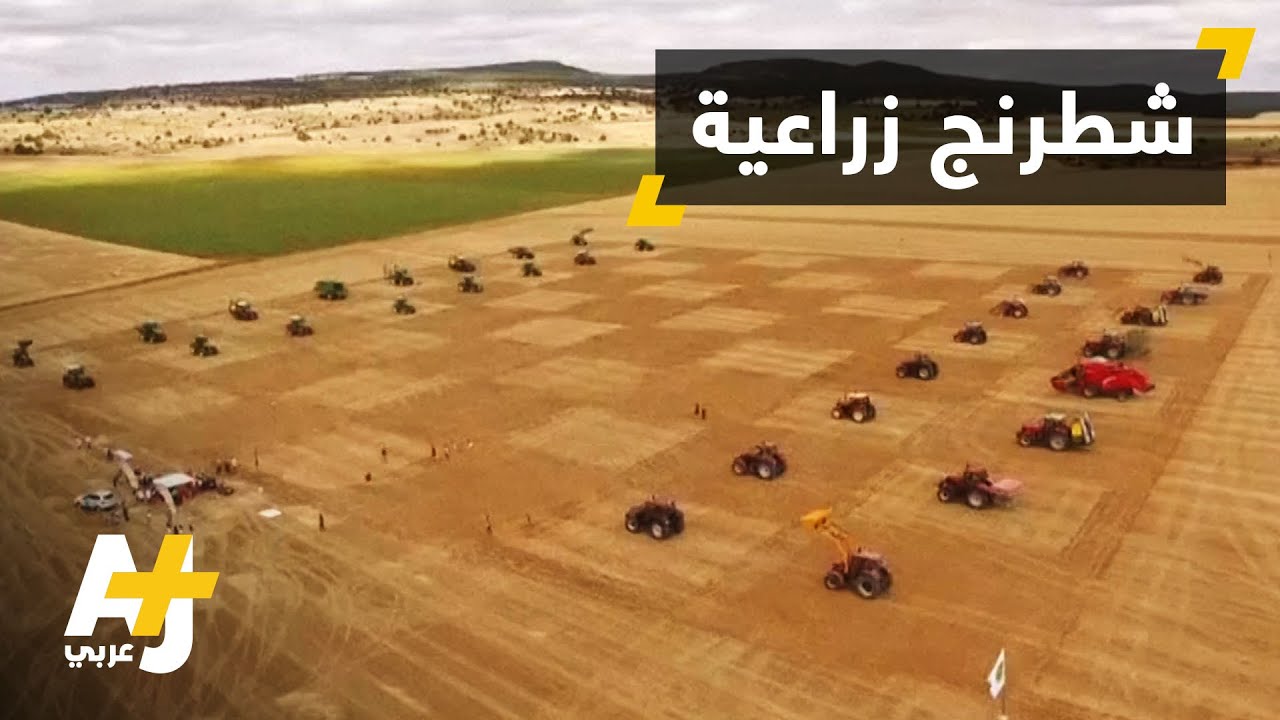 شطرنج زراعي لدعم الزراعة