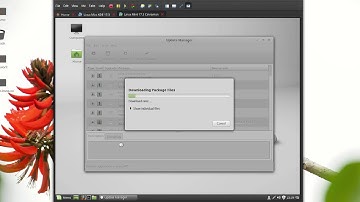 What to do first after the installation of Linux Mint 17.3 Cinnamon and take a snapshot in vmware