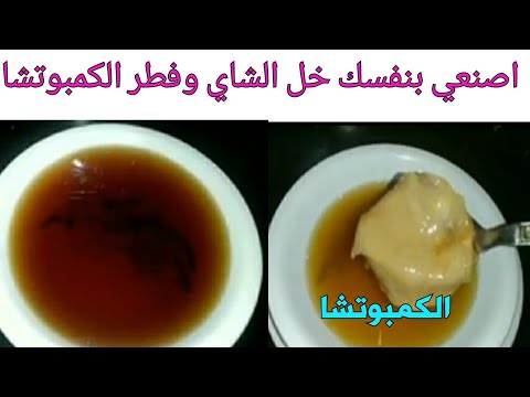 فيديو: كيفية تحضير شاي الفطر