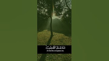 استمع الى القران لعله يشفع لك يوم القيامة #القرآن_الكريم #آيات_من_كتاب_الله #تلاوة_خاشعة