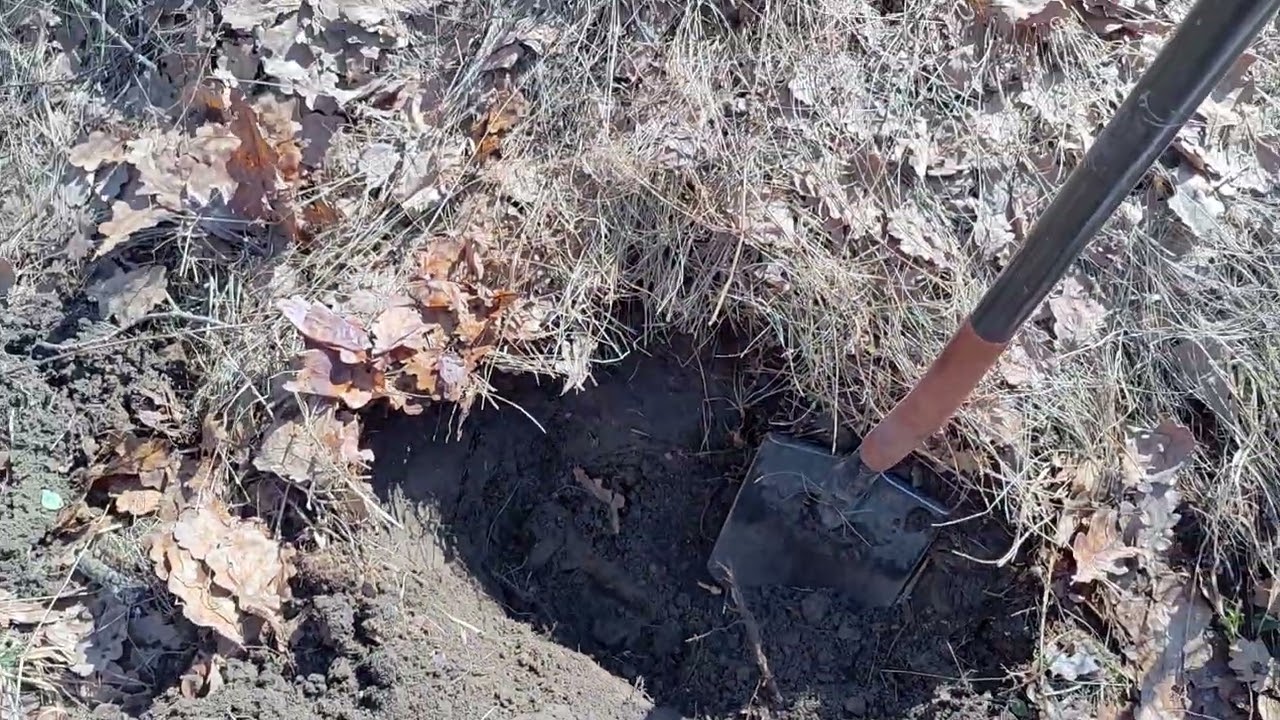 Сезон копу відкрито🌲🌳