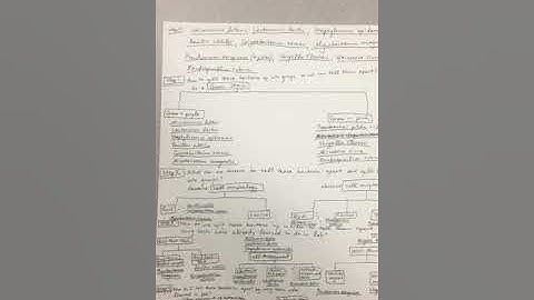 Video 3-12 Observations and Interpretations of your Morphological Unknown Bacteria Microbiology Lab