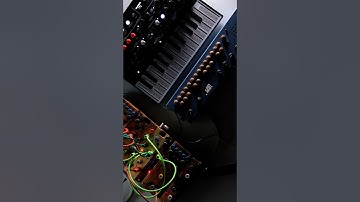 #microfreak through #organellem into #cocoquantus2 #ambient #lofi #cocoquantus #organelle #drone