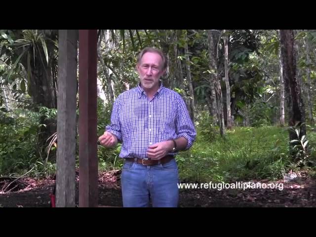 Learn about the magic of Ayahuasca