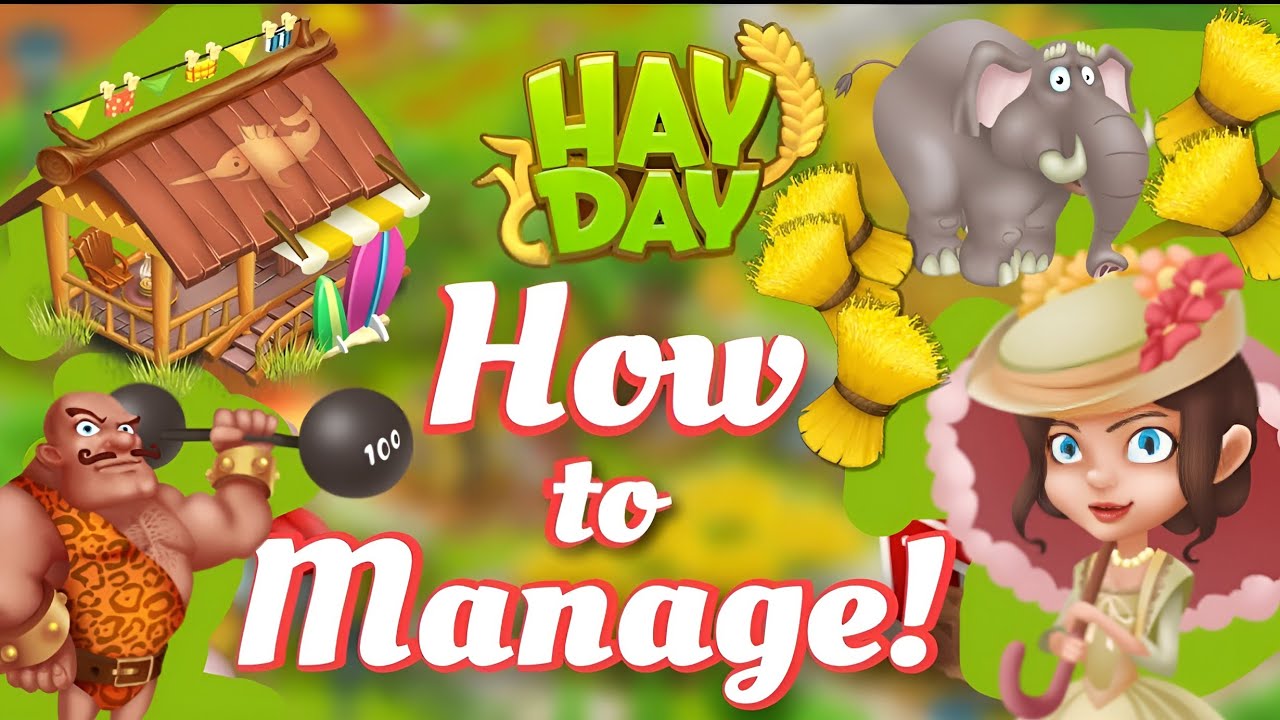 Hay Day How to Manage Town & Sanctuary YouTube