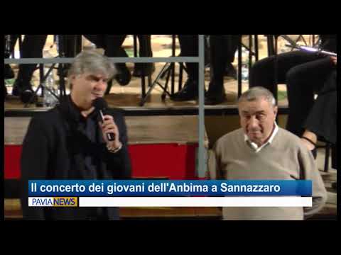 italian greyhound Il futuro delle bande musicali si è esibito a Sannazzaro