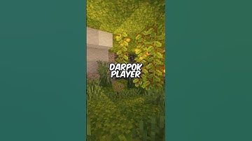 Types Of Minecraft Players In Caves