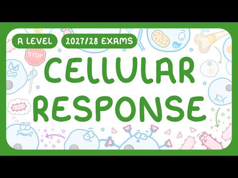 A-Level Biology - Cellular Response - T Cells | Non-specific & Specific Defences (2027/28 exams)