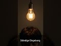 Dein Gehirn ist ein Stromfresser.  #wissenschaft #youtubeshorts #wissen #unterhaltung
