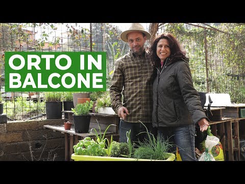Video: Informazioni sul micro giardinaggio urbano - Suggerimenti sul micro giardinaggio per i giardinieri della città