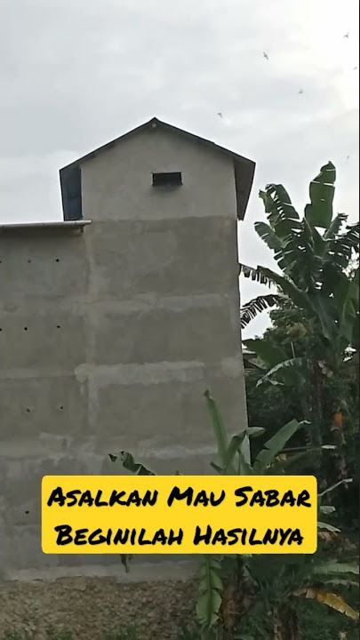 SP AKAU 22 BIRAHI ORI KIRIMAN KE-2 SETELAH 2 BULAN RESPONNYA SEPERTI SUARA CEKLOK #Shorts