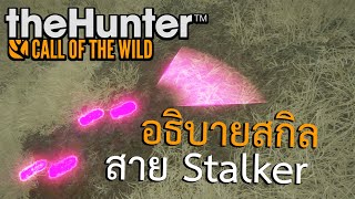 อธิบายสกิลสาย Stalker | แนวทางการเล่น theHunter: Call of the Wild