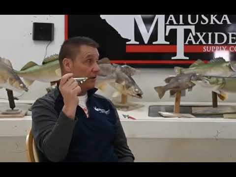 Tattle Tail by Ray Murphy - Matuska Taxidermy Supply Company