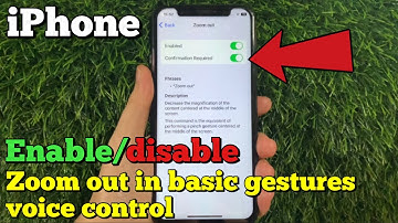 How to enable or disable zoom out in basic gestures voice control on iPhone X