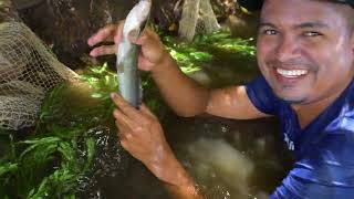Rare AFRICAN FISHING by Afro-Colombians!! COLOMBIAN FOOD You&#39;ve NEVER Seen Before!!