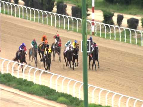 Vidéo de la course PMU PREMIO TORO NEGRO H.