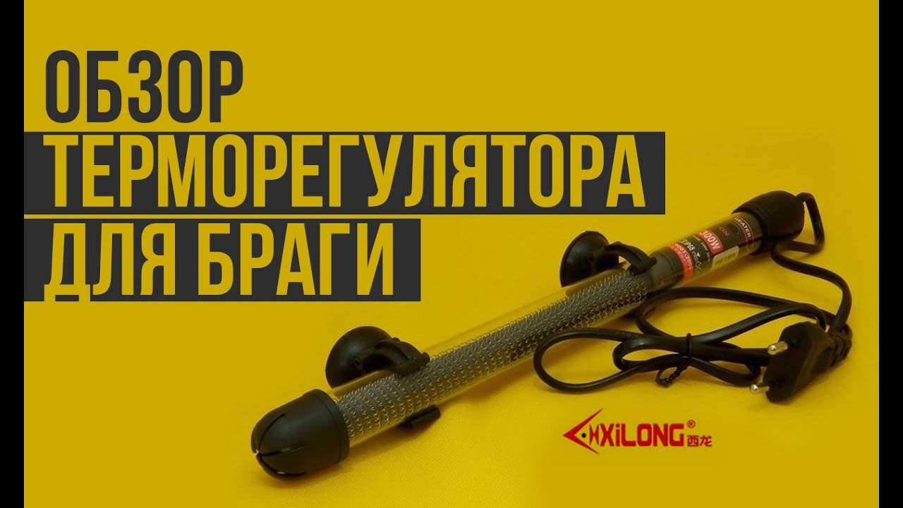 Обзор терморегулятора-нагревателя для браги - YouTube