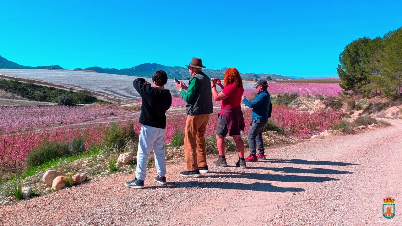 Floración de Cieza 2026. Región de Murcia. 🇪🇸.Temas musicales por 