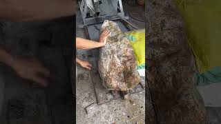 大乌鸡熬汤嘎嘎香 关注我们，了解翡翠，现场切翡翠，干的就是真实#翡翠 #翡翠玉石 #翡翠原石 #赌石 #玉石 #缅甸翡翠 #翡翠直播 #jade #jewelry #翡翠手镯 #翡翠a货 #翡翠手鐲