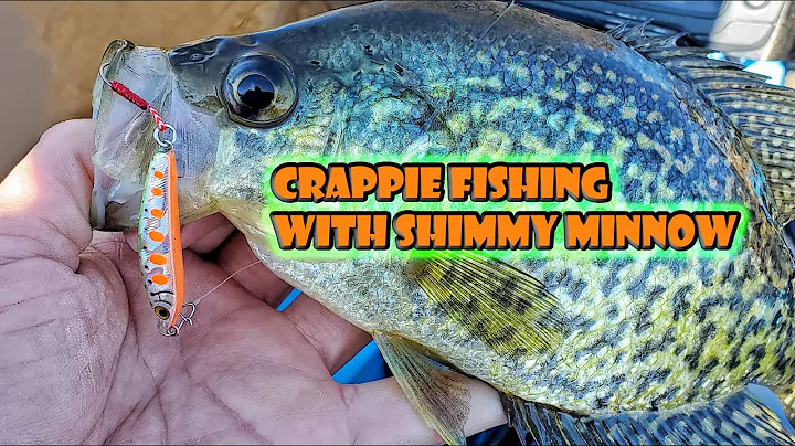 Spring Crappie Fishing with Bait Finesse Empire Shimmy Minnow BFS Fishing