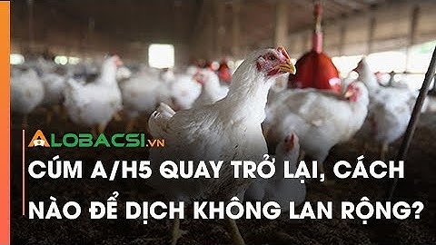 Cúm A/H5 quay trở lại, cách nào để dịch không lan rộng?
