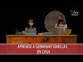 Aprende a germinar semillas en casa - TvAgro por Juan Gonzalo Angel Restrepo