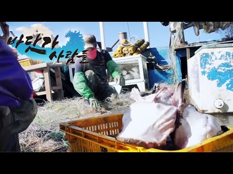 바닷가 사람들 - <strong>못난이의</strong> 반란! 아귀잡이_#003