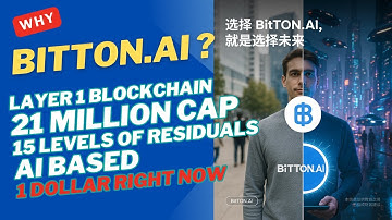 Why You Should Look At BitTon AI. BTN TOKEN